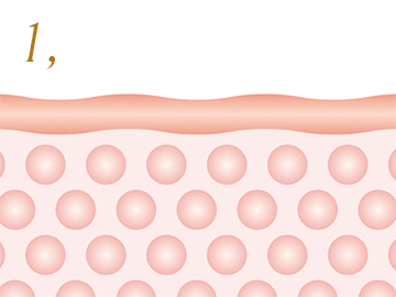皮膚下の脂肪細胞